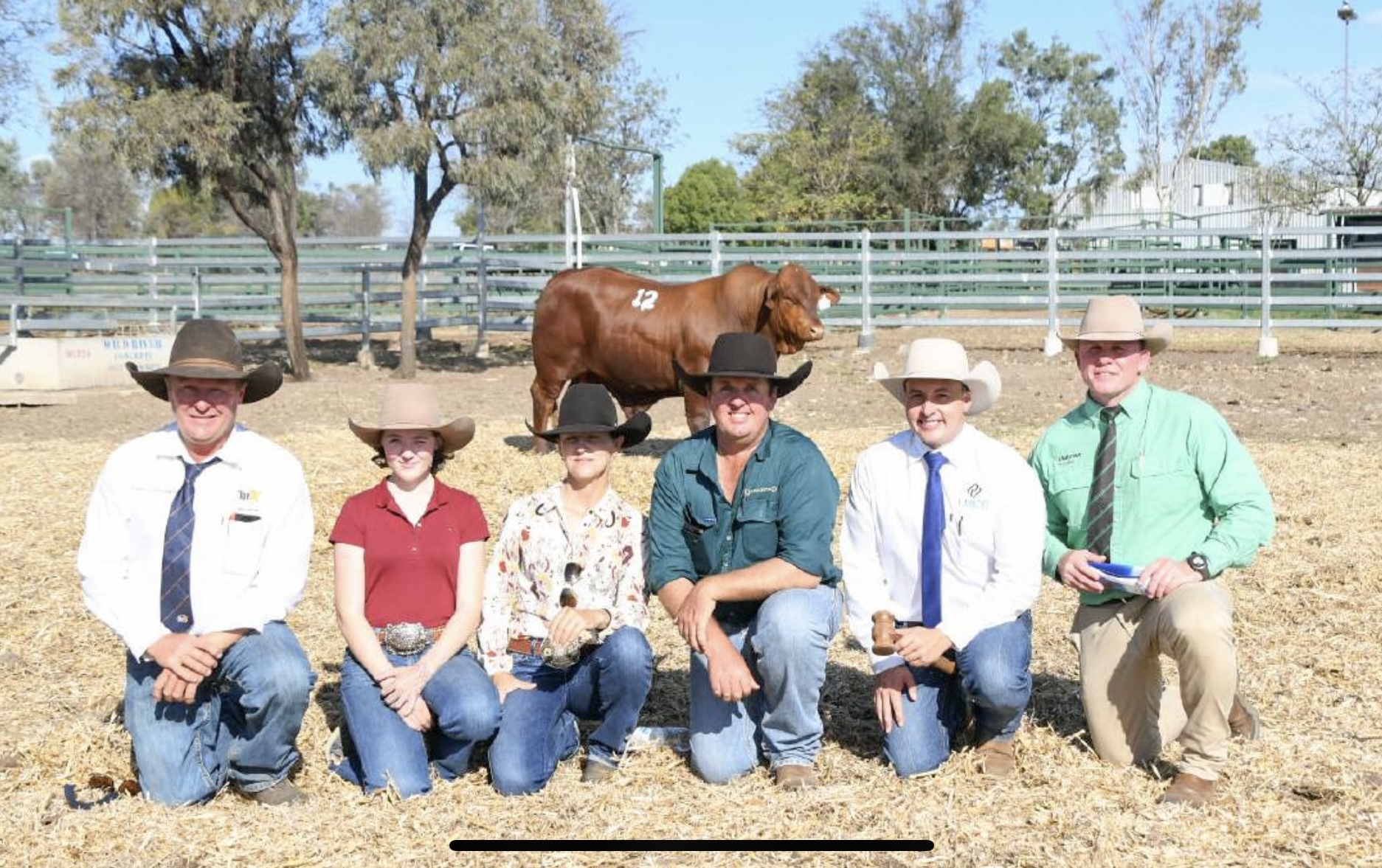 Top-price bull Dangarfield Hemi with TopX Taroom/Wandoan livestock agent Jay Pearce, buyers Riley and Jackie Knudsen, Kilbeggan, Taroom, vendor Ben Adams, Dangarfield Santa Gertrudis, Taroom, auctioneer Lincoln McKinlay, and Nutrien studstock agent Colby Ede. Picture by Neave Duff.