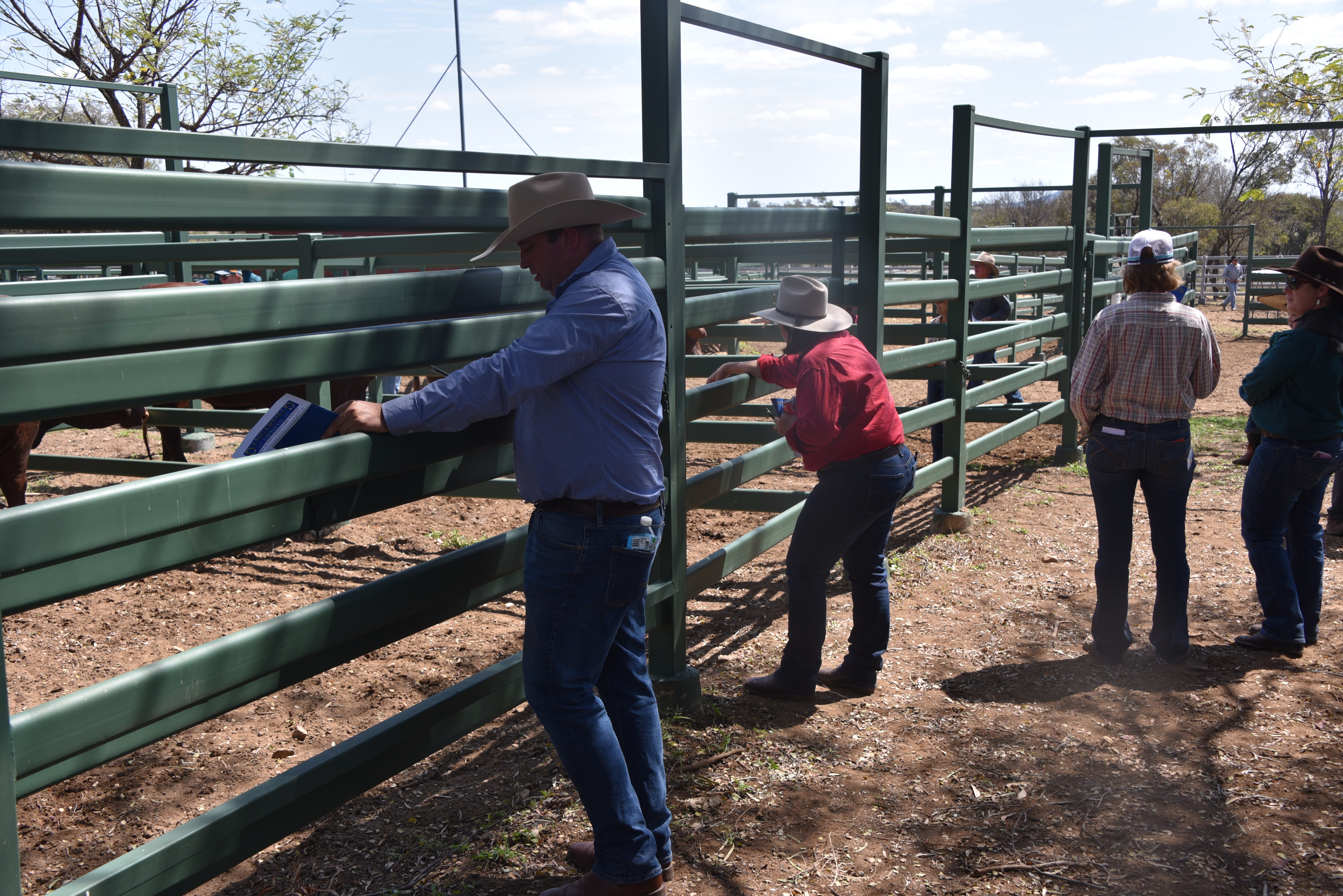 DANGARFIELD 2025 ANNUAL SALE