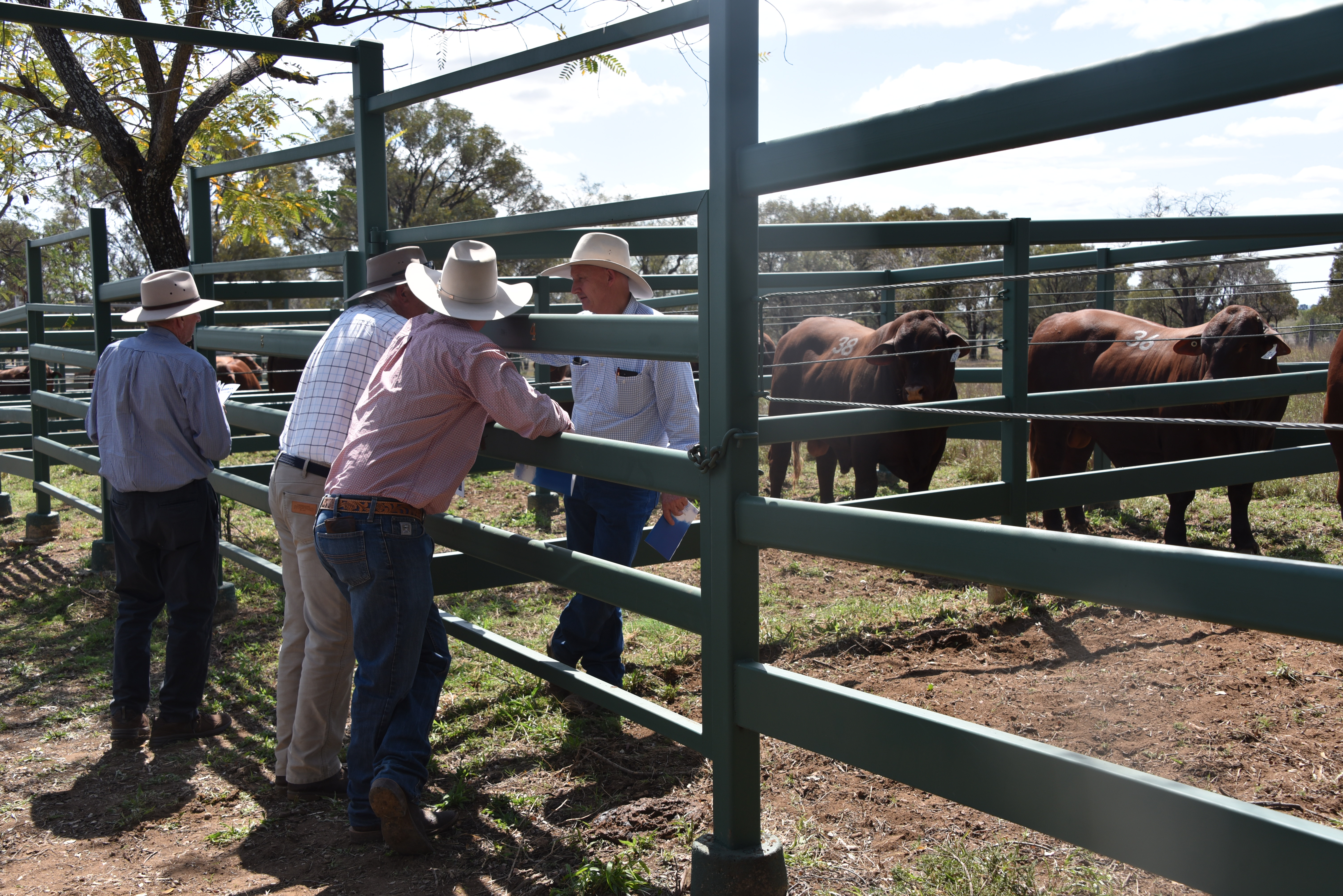 DANGARFIELD 2025 ANNUAL SALE