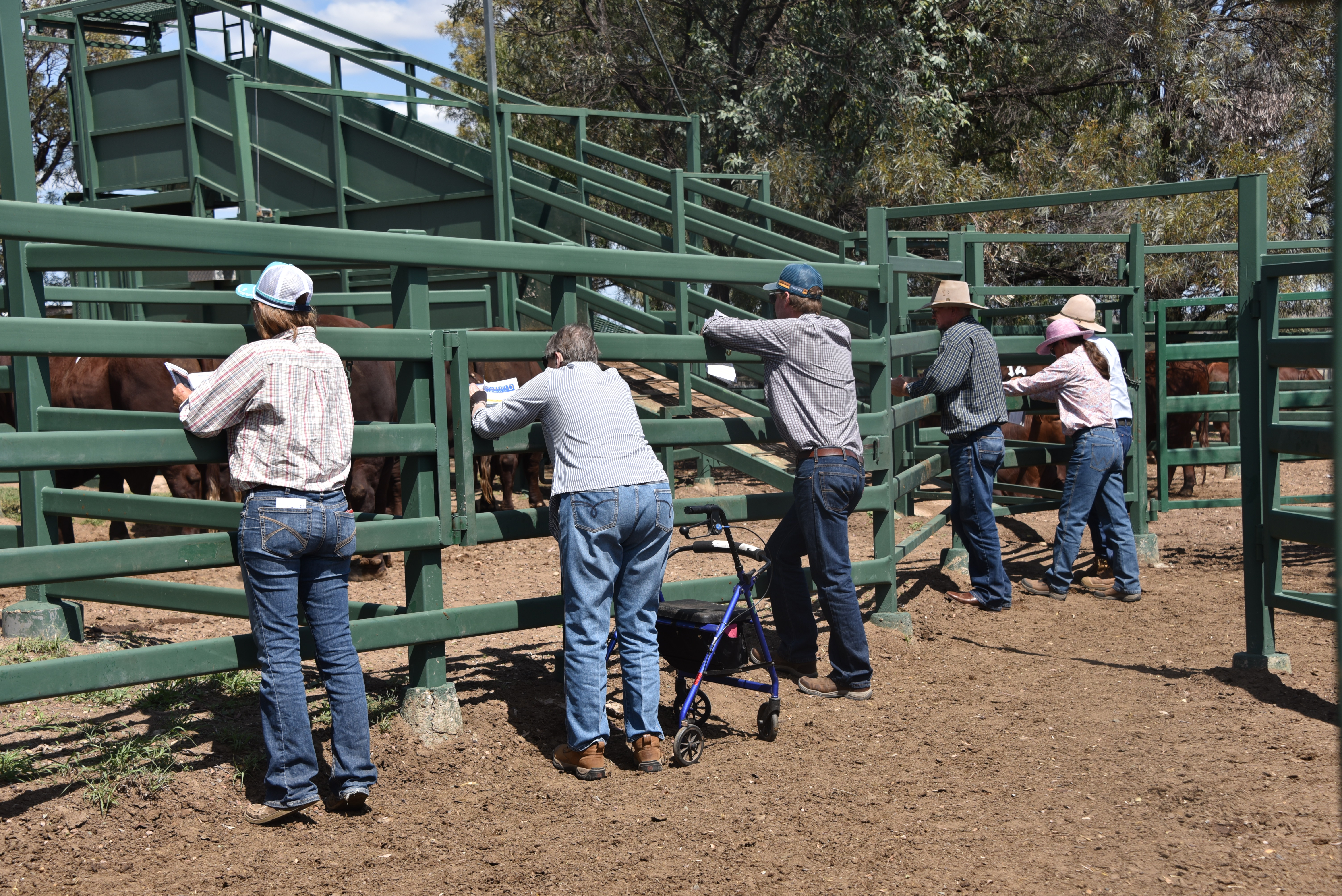 DANGARFIELD 2025 ANNUAL SALE
