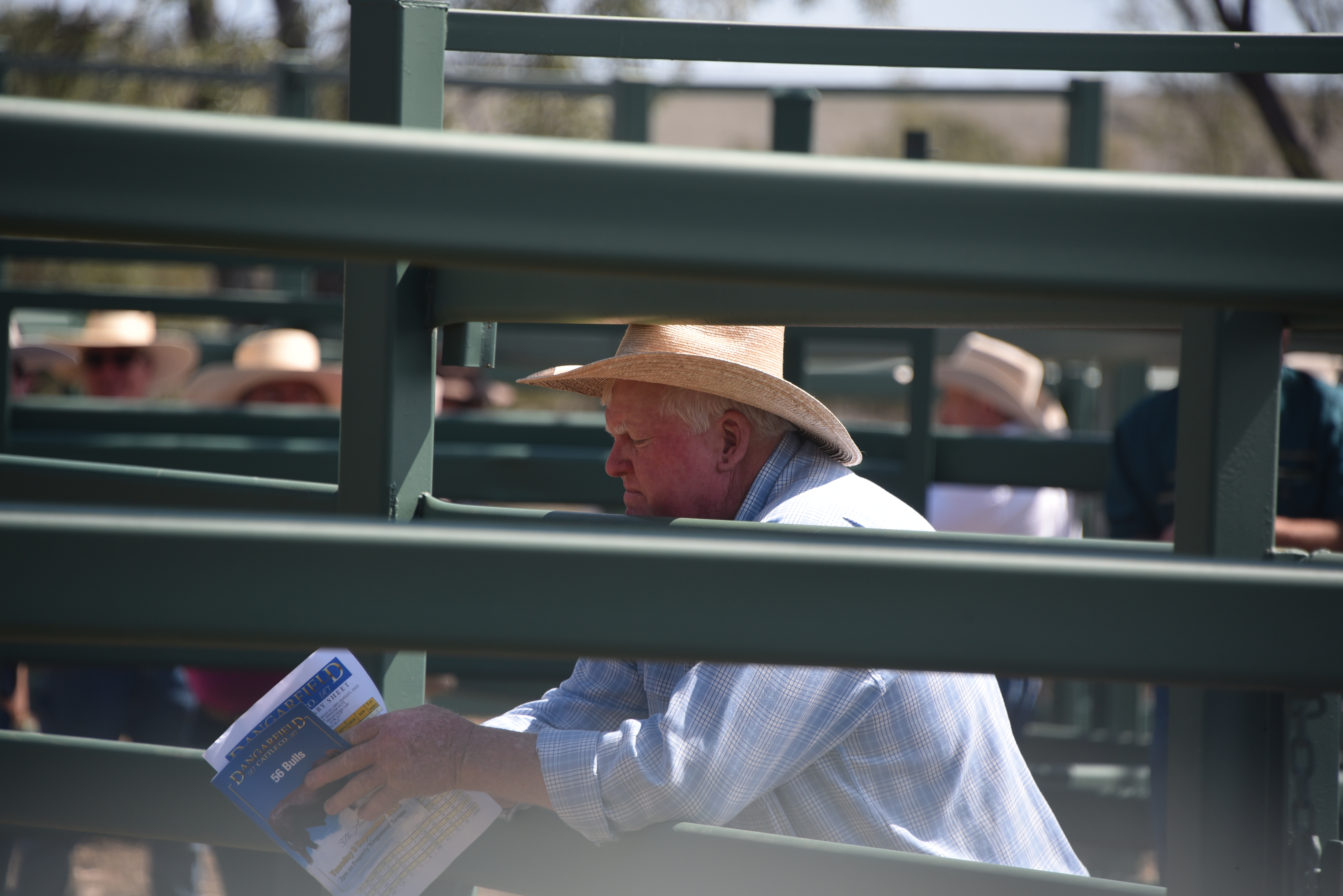 DANGARFIELD 2025 ANNUAL SALE