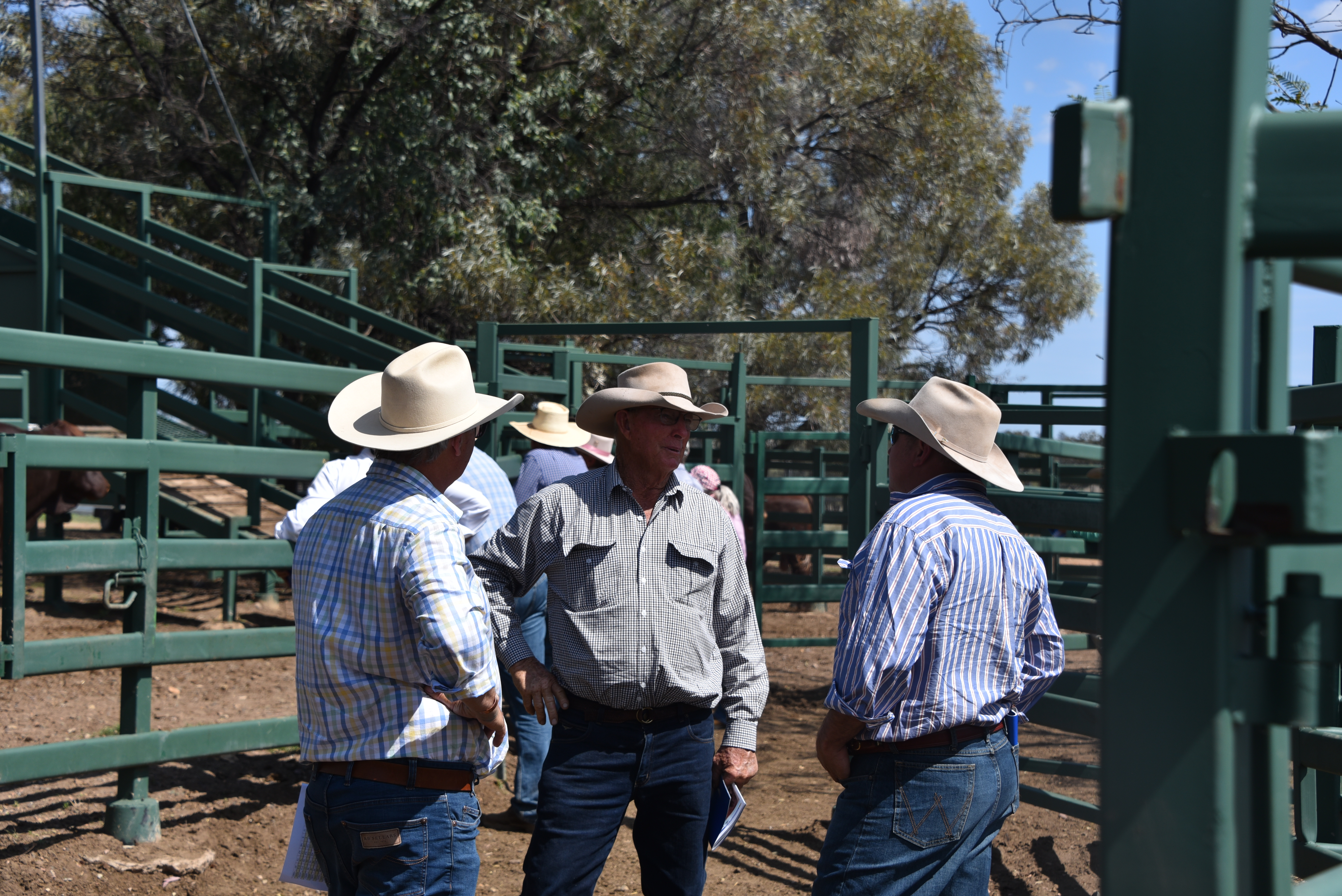 DANGARFIELD 2025 ANNUAL SALE