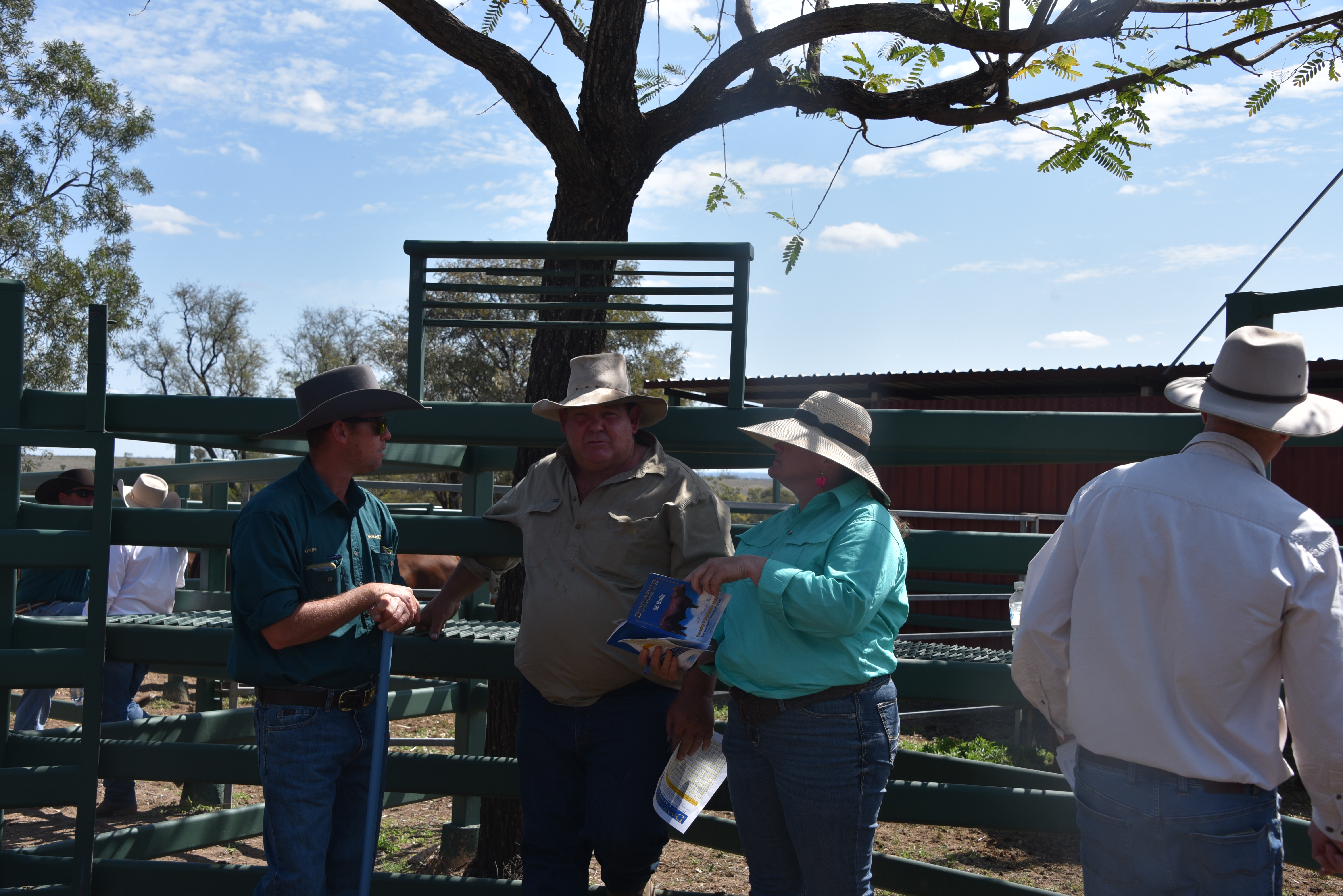 DANGARFIELD 2025 ANNUAL SALE