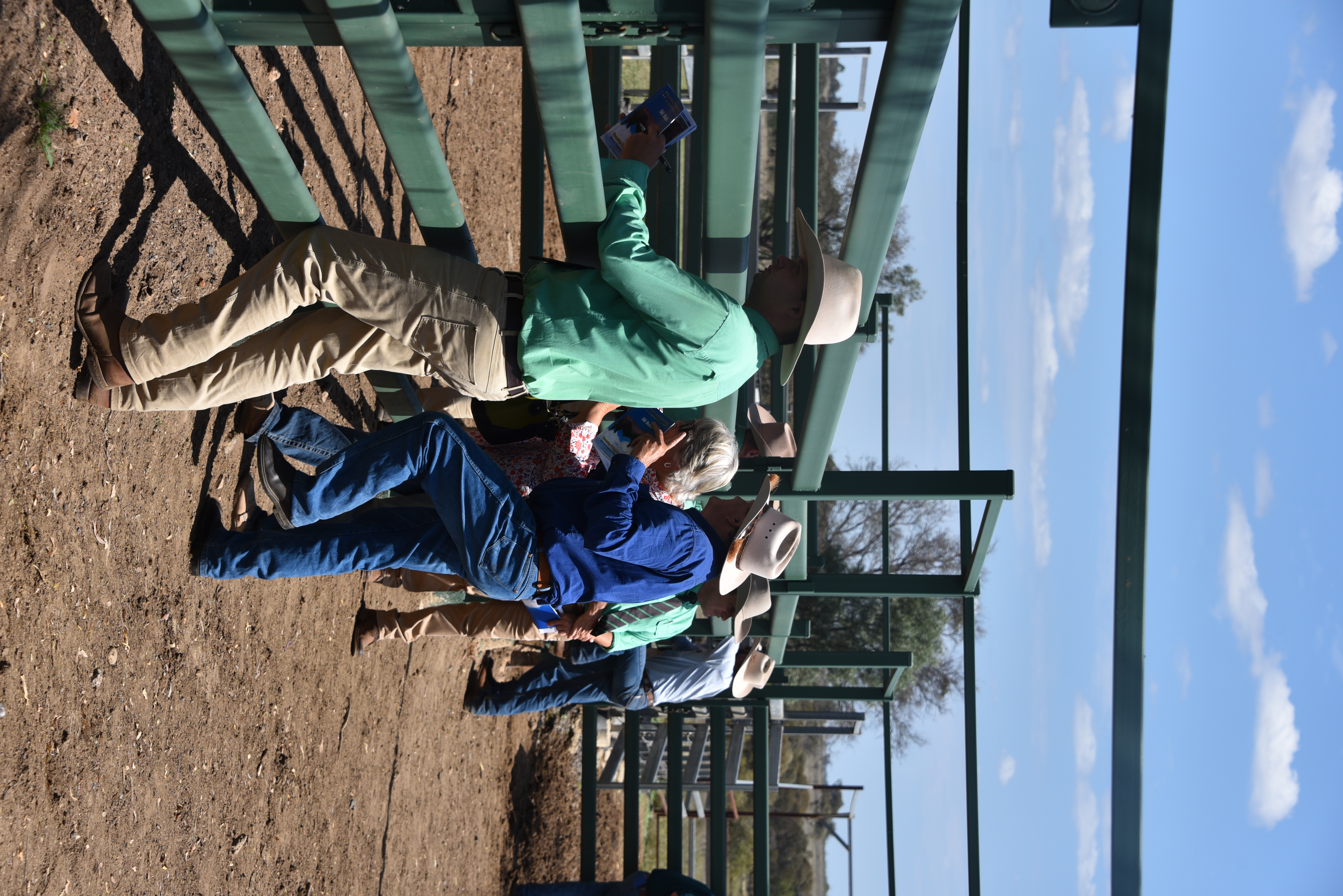 DANGARFIELD 2025 ANNUAL SALE