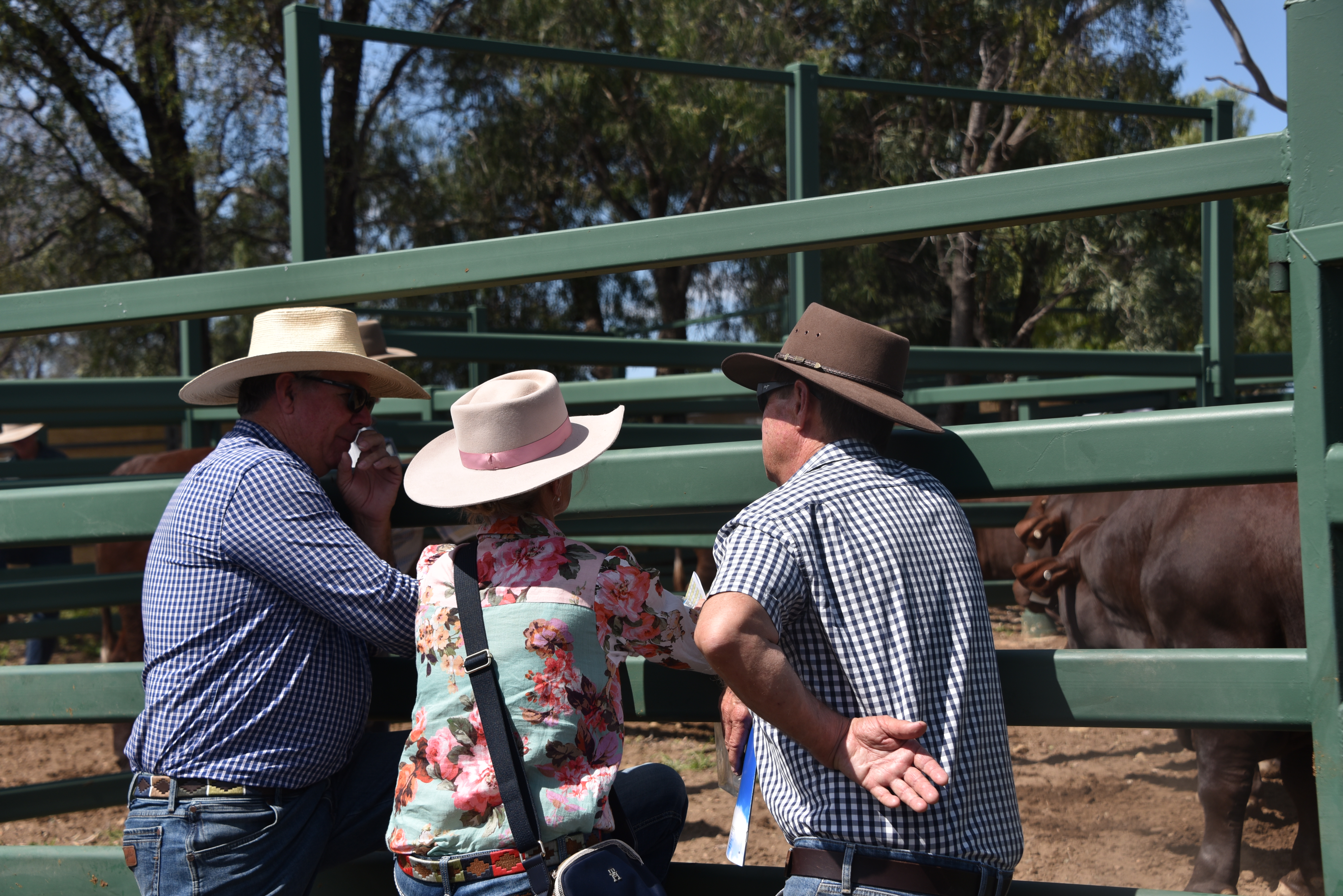 DANGARFIELD 2025 ANNUAL SALE