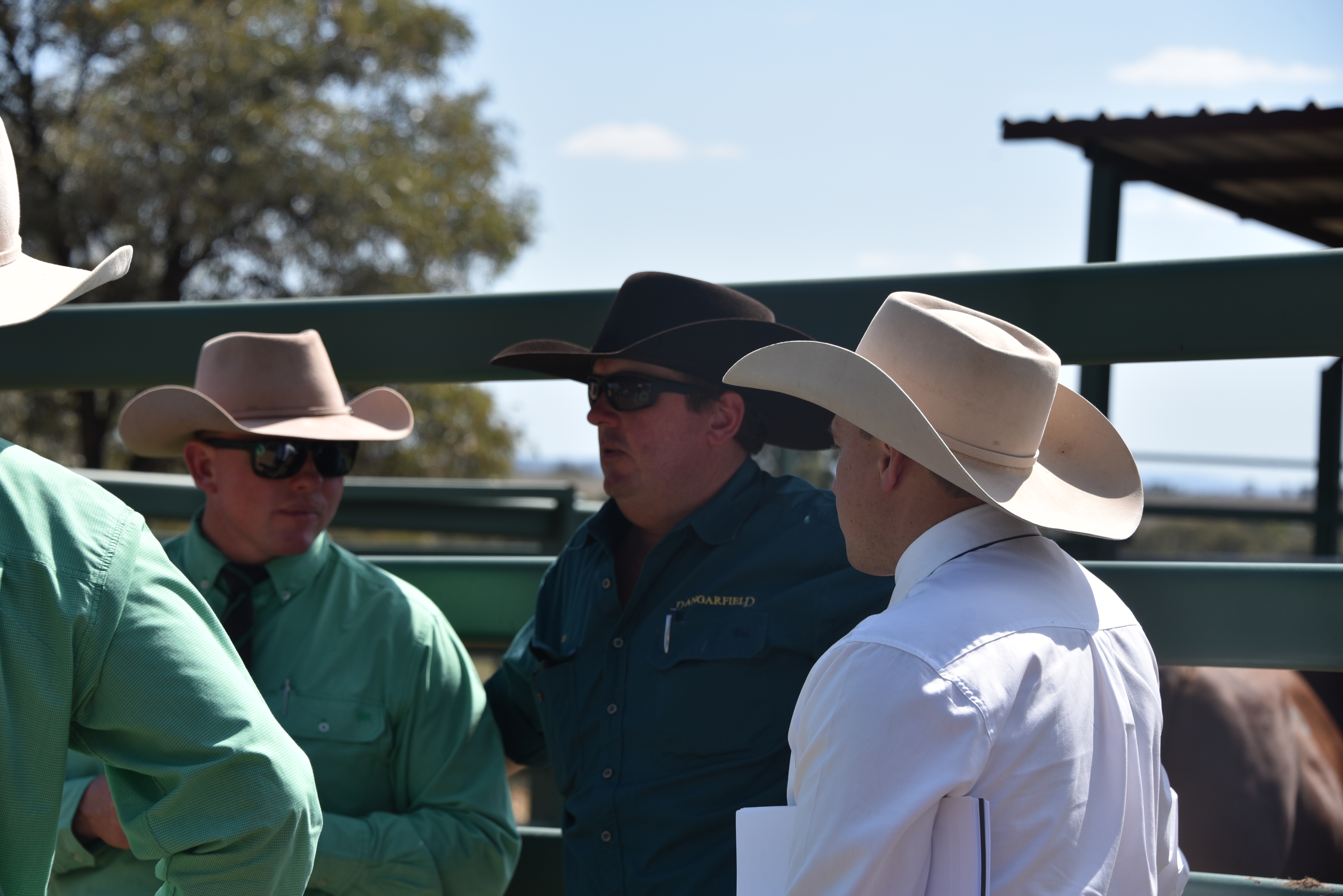 DANGARFIELD 2025 ANNUAL SALE