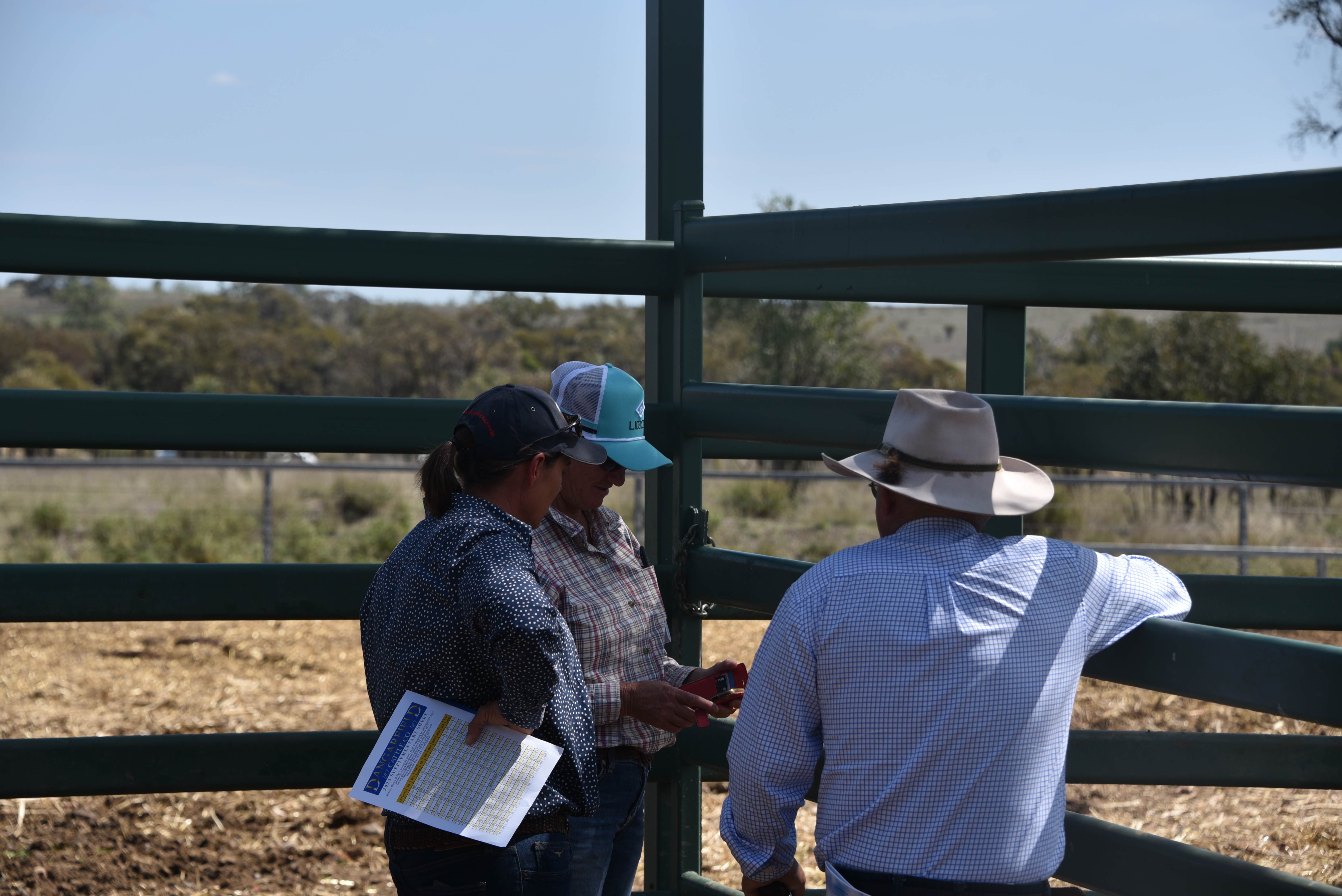 DANGARFIELD 2025 ANNUAL SALE