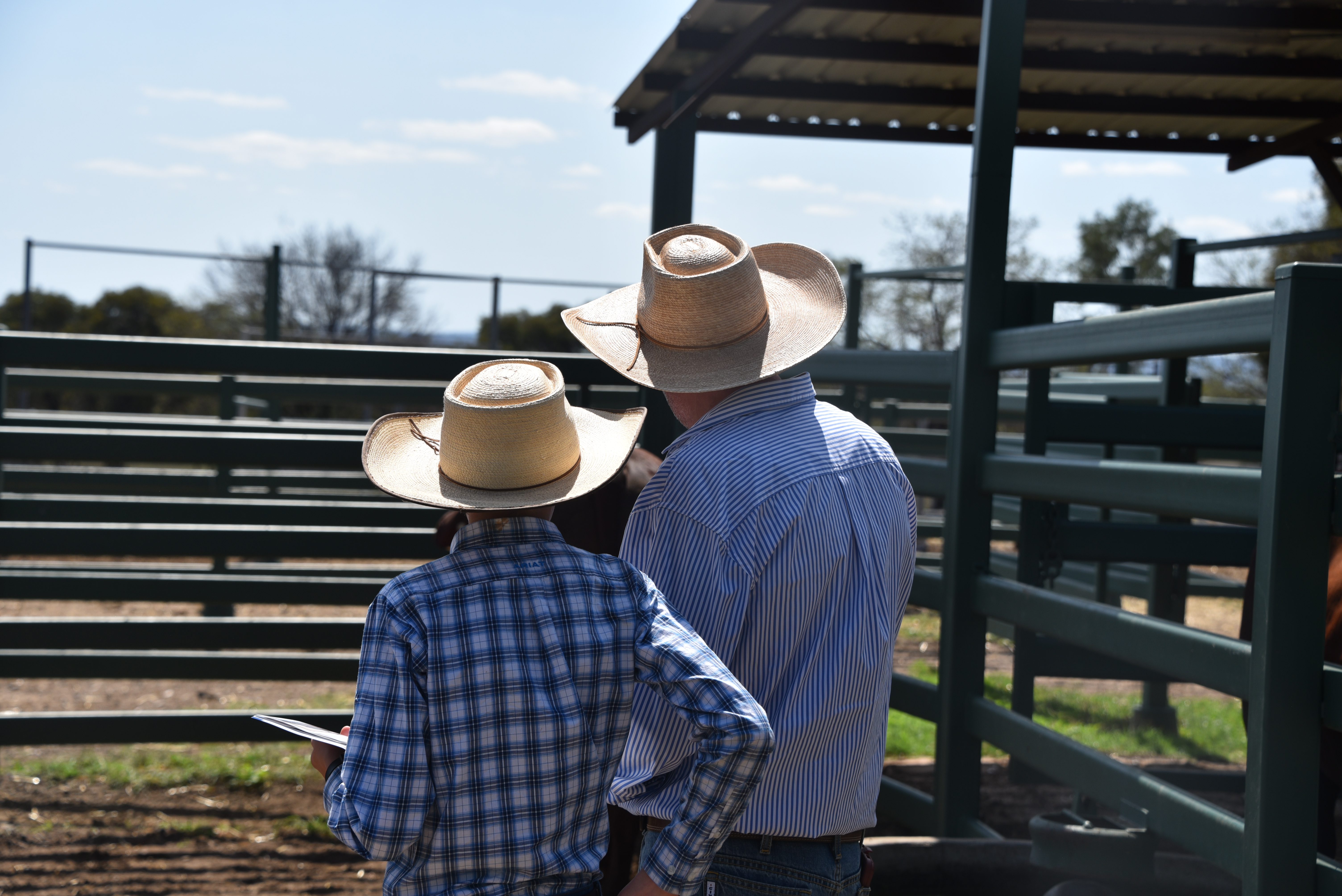 DANGARFIELD 2025 ANNUAL SALE