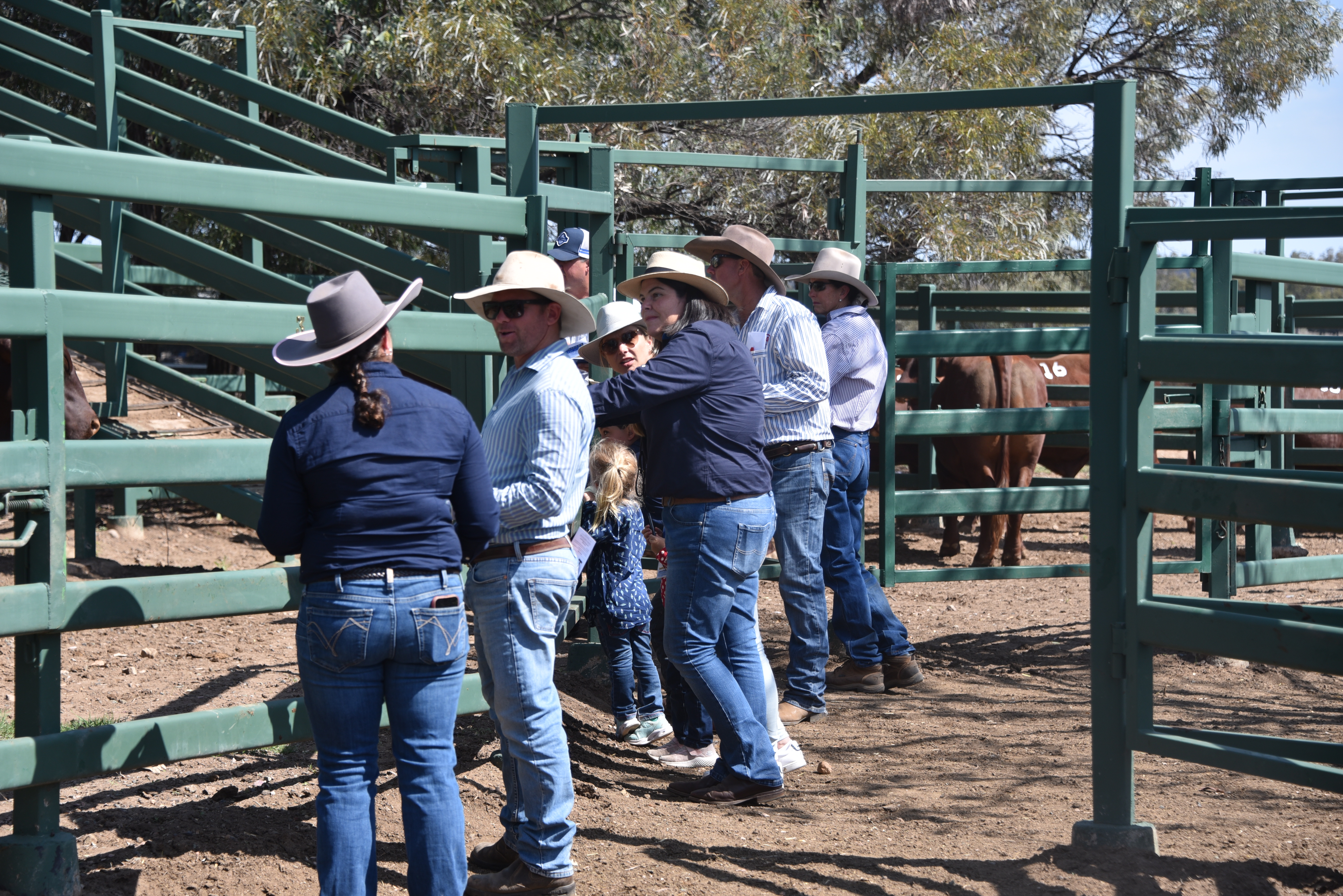 DANGARFIELD 2025 ANNUAL SALE