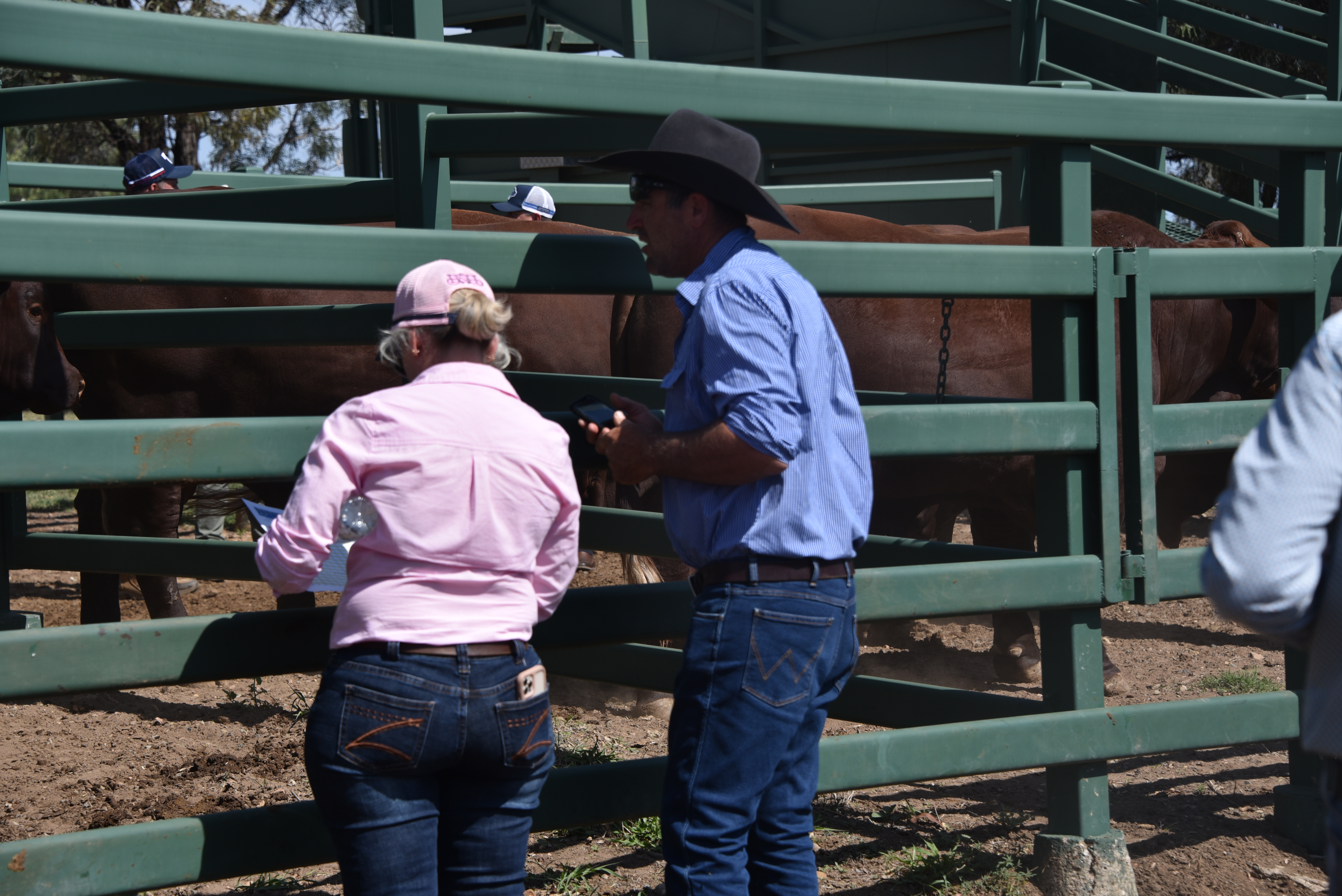 DANGARFIELD 2025 ANNUAL SALE