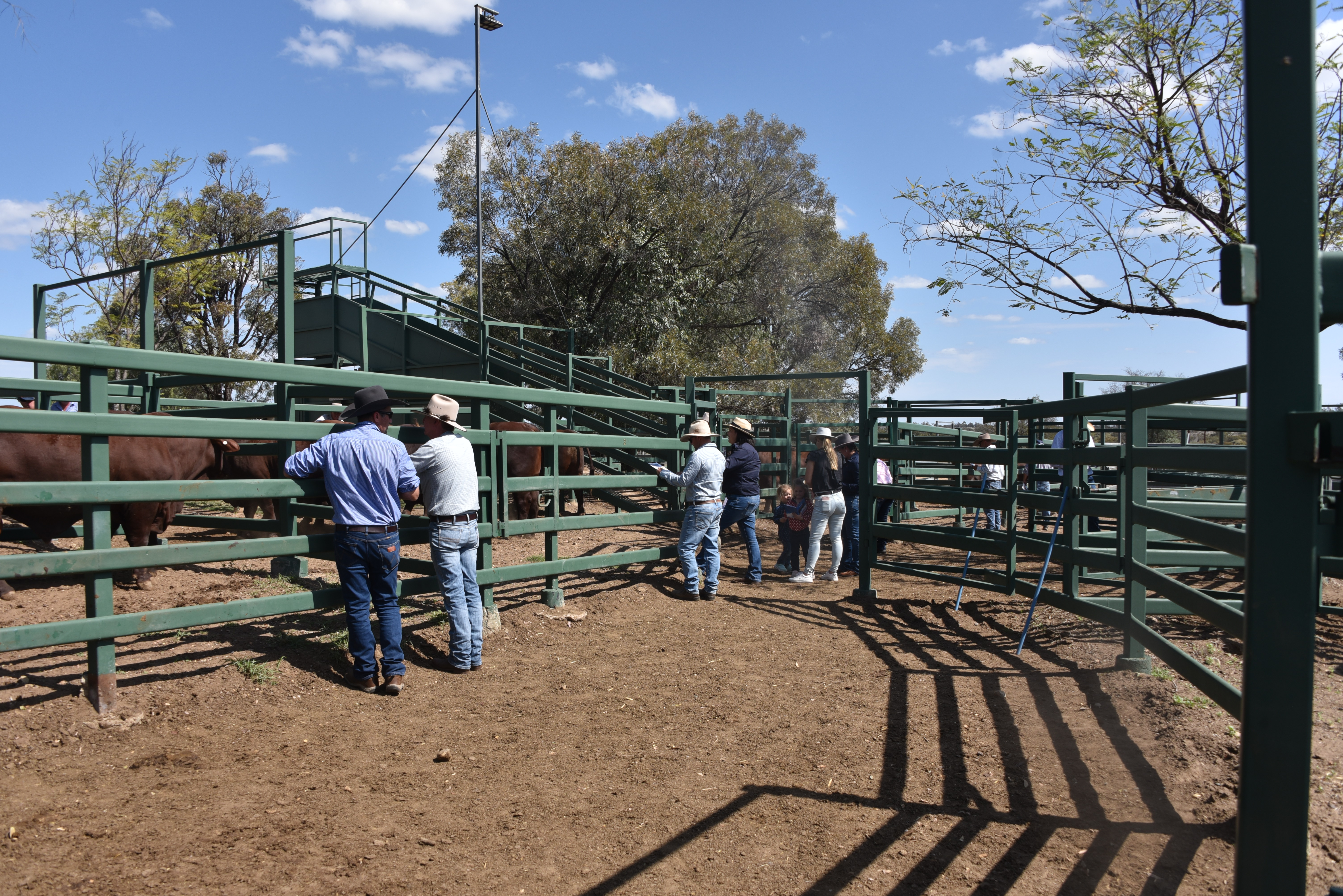DANGARFIELD 2025 ANNUAL SALE