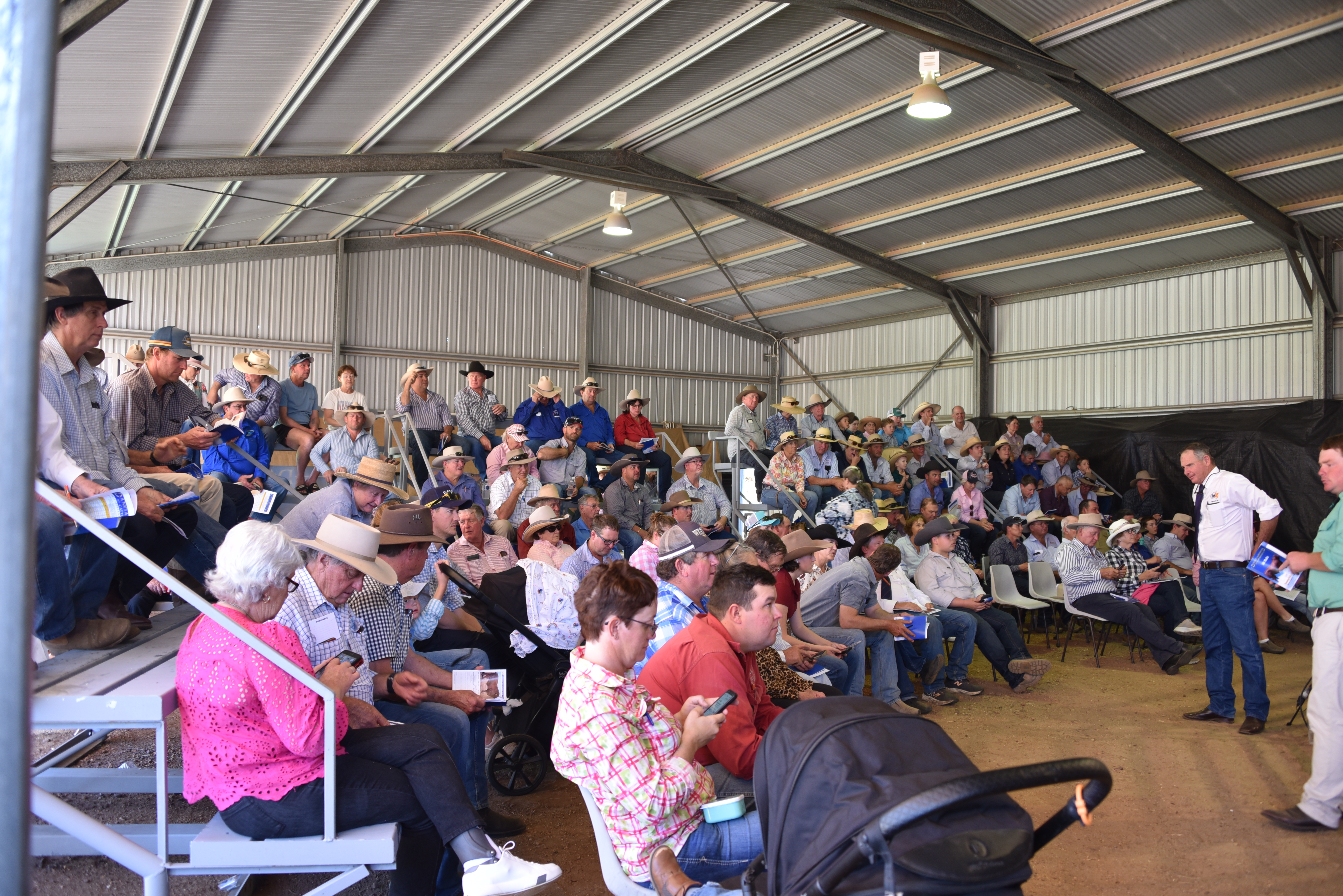 DANGARFIELD 2025 ANNUAL SALE