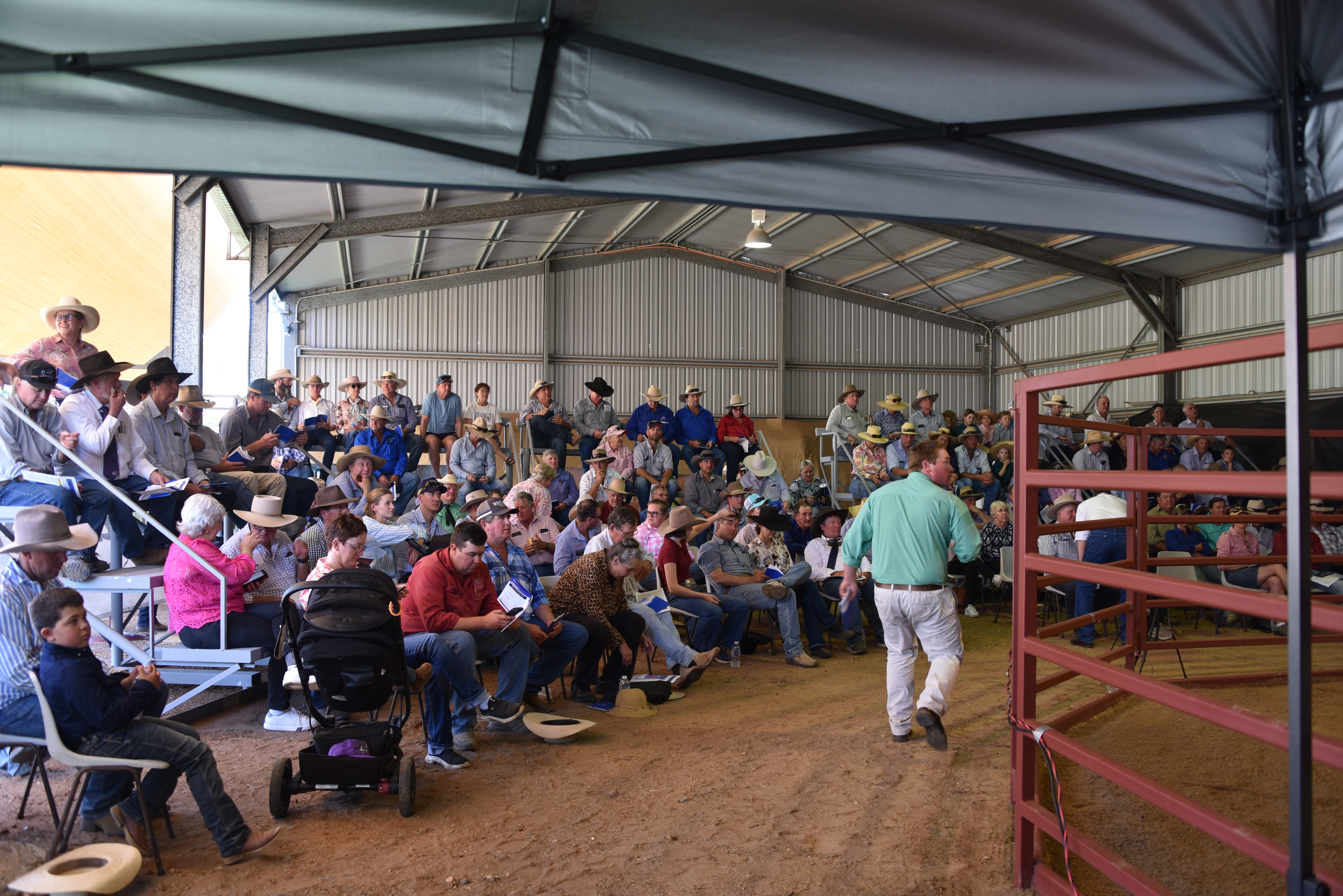 DANGARFIELD 2025 ANNUAL SALE