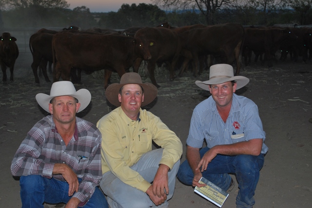 Buying the entire draft of commercial females was Gavin Dennien, Shamrockvale, Beaudesert. He is pictured with Ben Adams, Dangarfield Santa Gertrudis, Taroom, and agent David Eagleson, Shepherdson and Boyd, Toogoolawah. Buying the entire draft of commercial females was Gavin Dennien, Shamrockvale, Beaudesert. He is pictured with Ben Adams, Dangarfield Santa Gertrudis, Taroom, and agent David Eagleson, Shepherdson and Boyd, Toogoolawah.